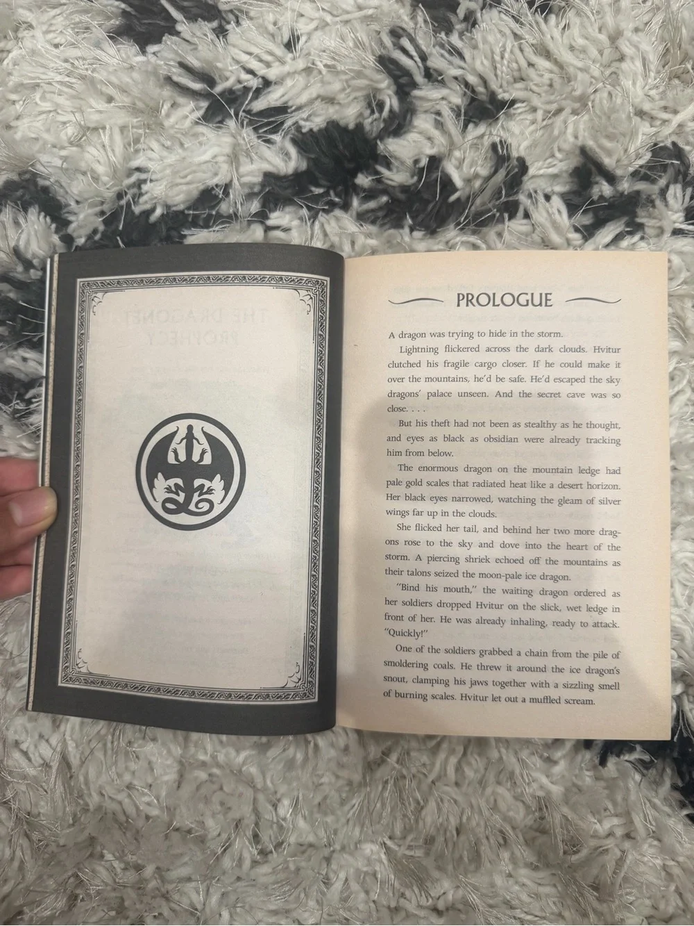 Back cover of a book